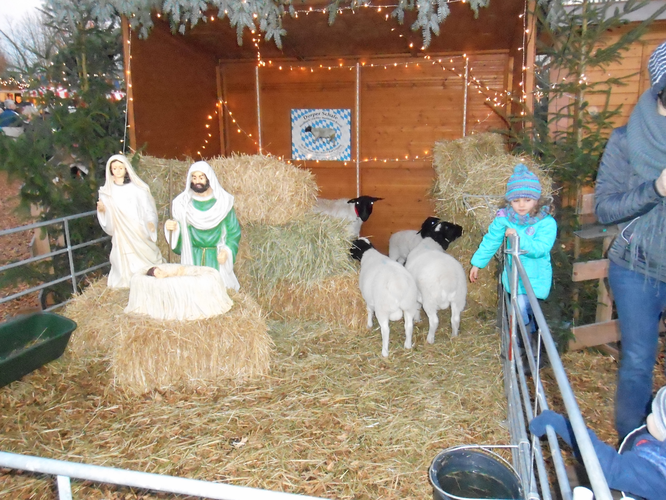 dorper weihnachtsmarkt